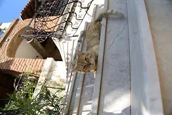 Cunda Sir Ayvalı